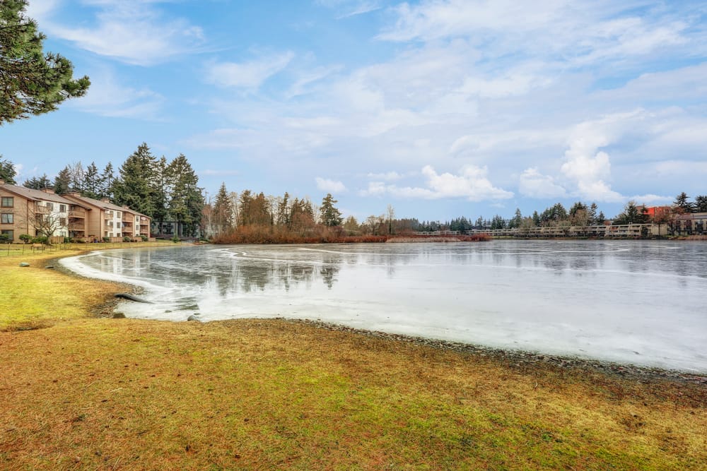 A partially frozen lake bordered by grass and trees, with apartment buildings on the left and a cloudy blue sky above.